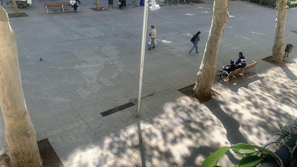 La ronda de Sant Antoni pacificada