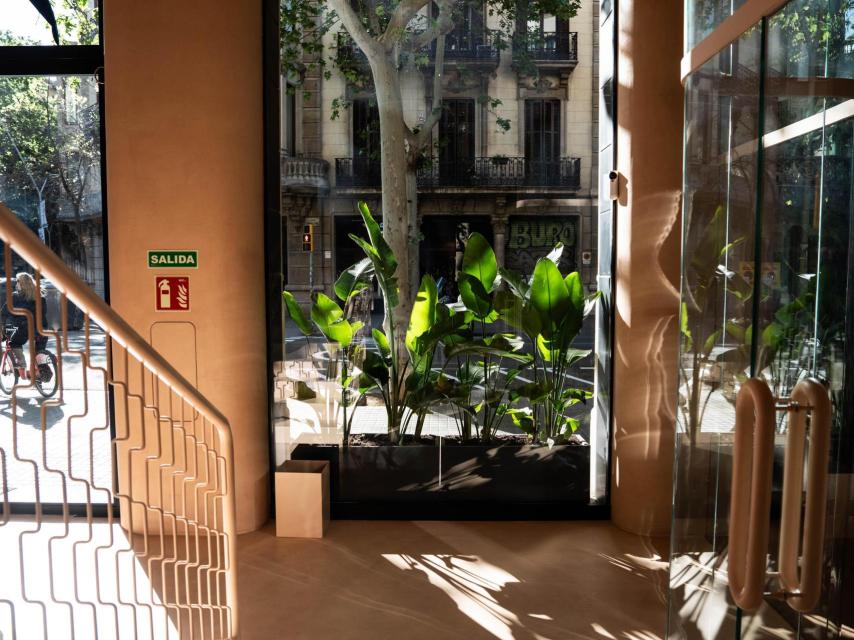Repeat, centro de Pilates
