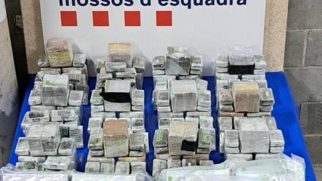 Droga intervenida