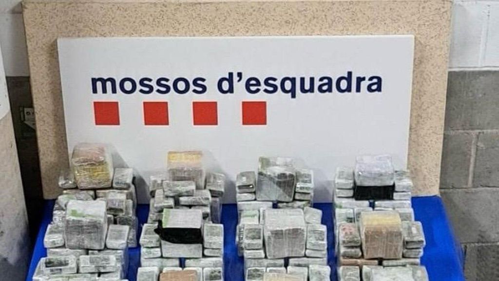 Droga intervenida