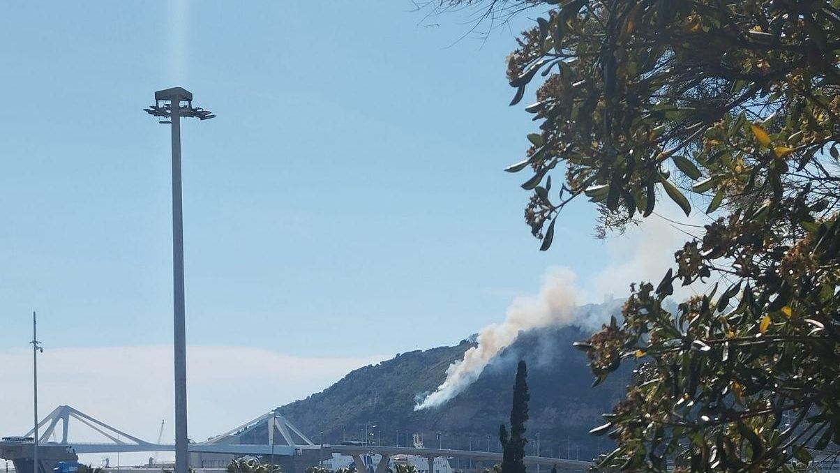 El incendio en la montaña de Montjuïc