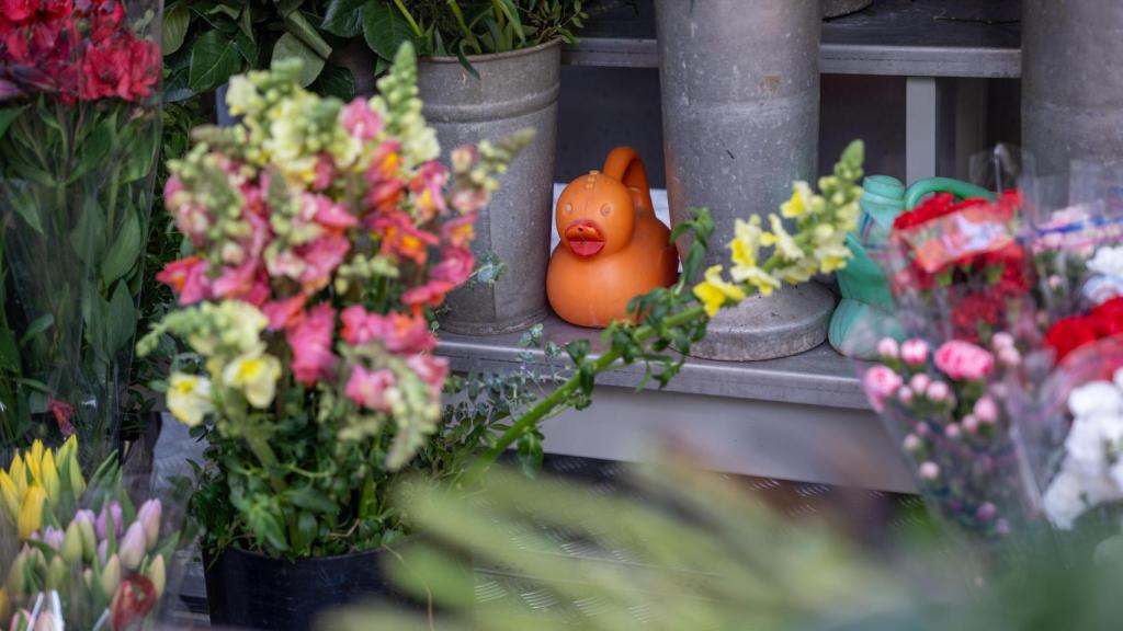 Quiosc de flors 'Carolina' a plaça Catalunya per les obres de la Rambla