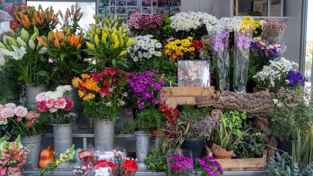Quiosc de flors 'Carolina' a plaça Catalunya per les obres de la Rambla