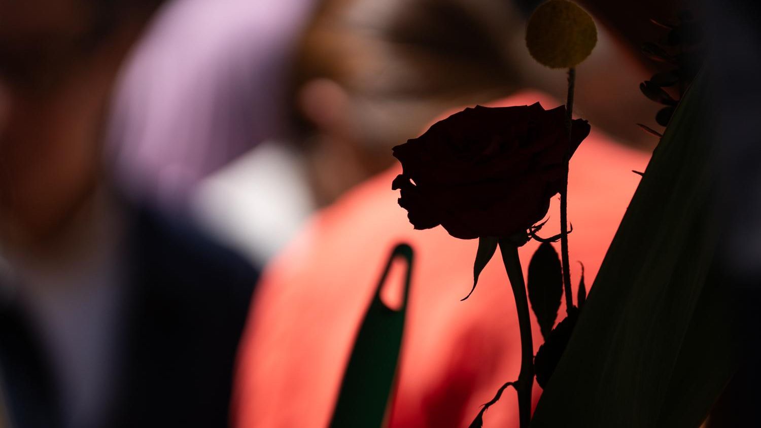 Sant Jordi 2026 recurso