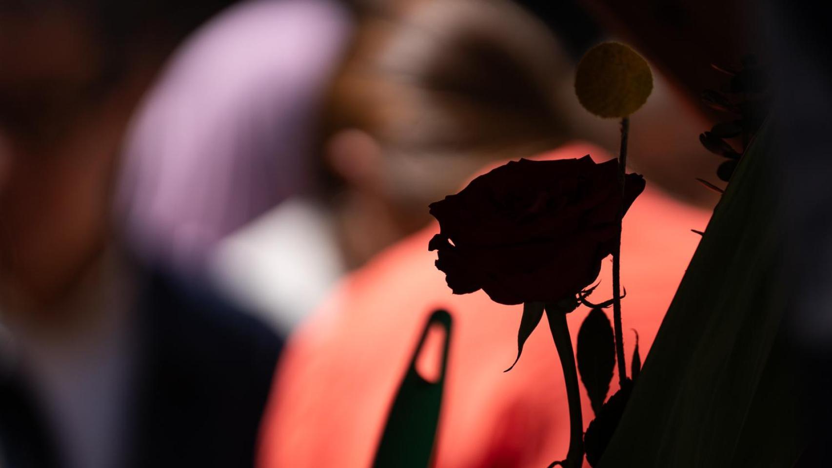 Sant Jordi 2026 recurso