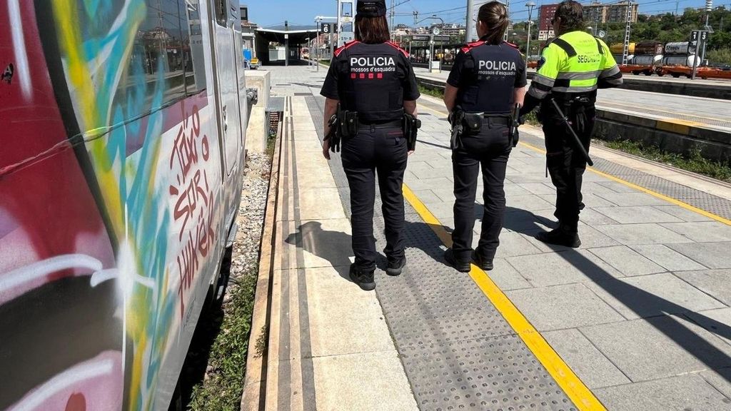 Operatiu contra grafiters a Rodalies
