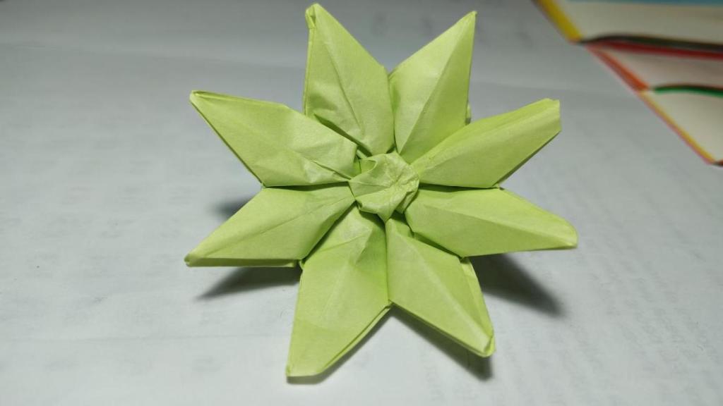 Papiroflexia hecha por F.M.F