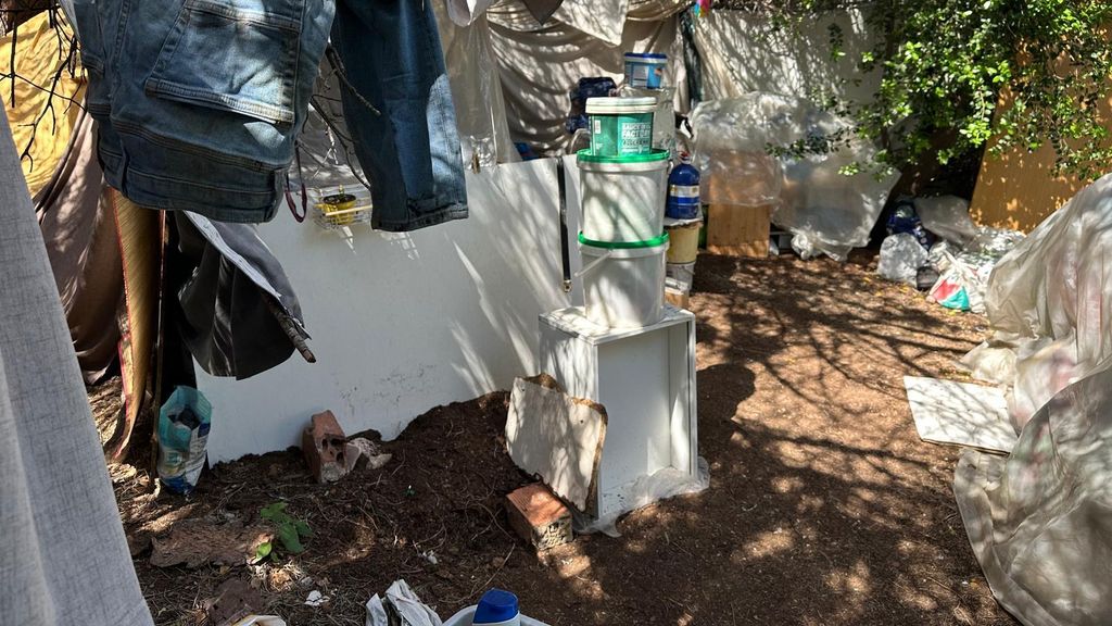 Zona boscosa on malviu l'Antonio, a Montgat