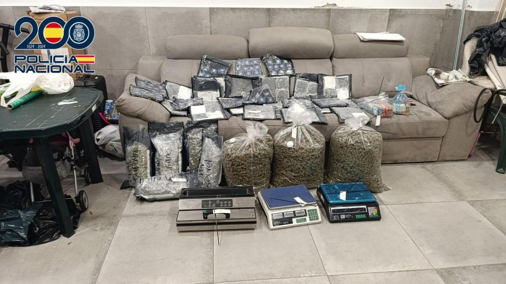 La marihuana incautada en los domicilios de los miembros de dos clanes familiares dedicaos a la venta de marihuana en Sabadell