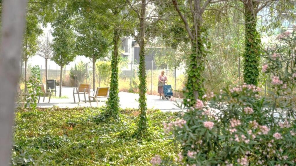 El barri de la Marina en una imatge proporcionada per l'Ajuntament