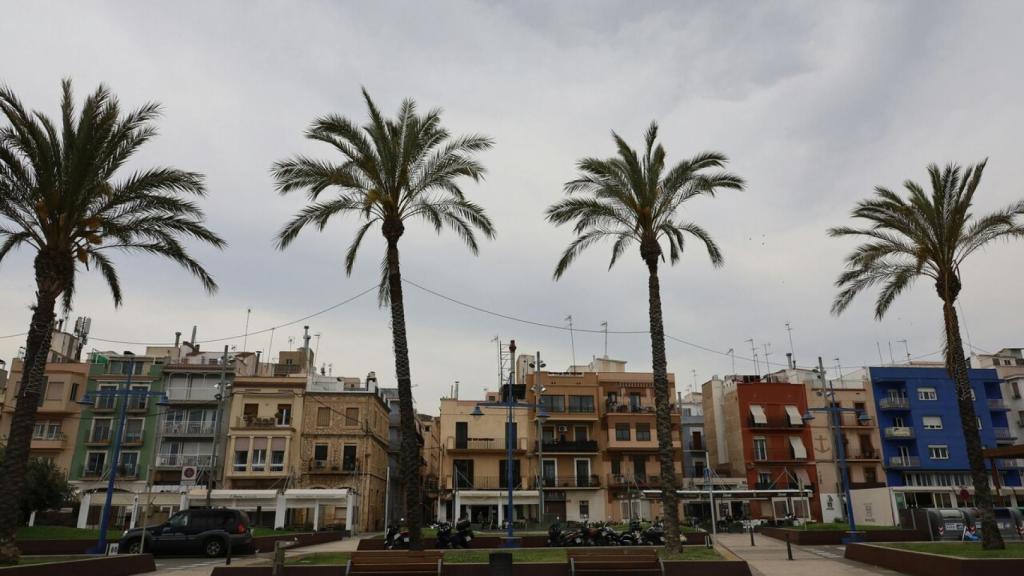 Palmeras en el barrio marinero del Serrallo en Tarragona