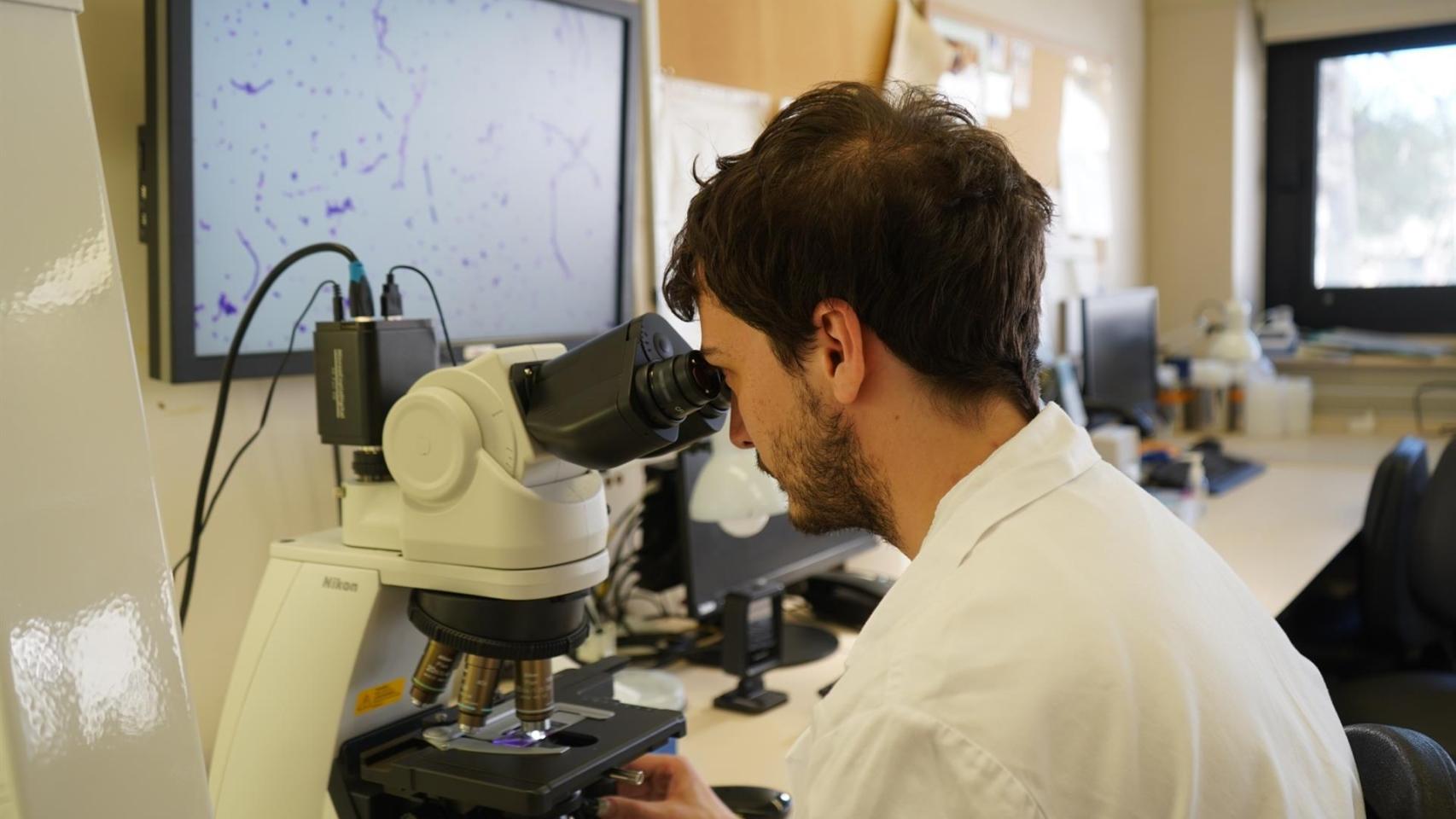 Laboratorio de Microbiología del Vall d'Hebron