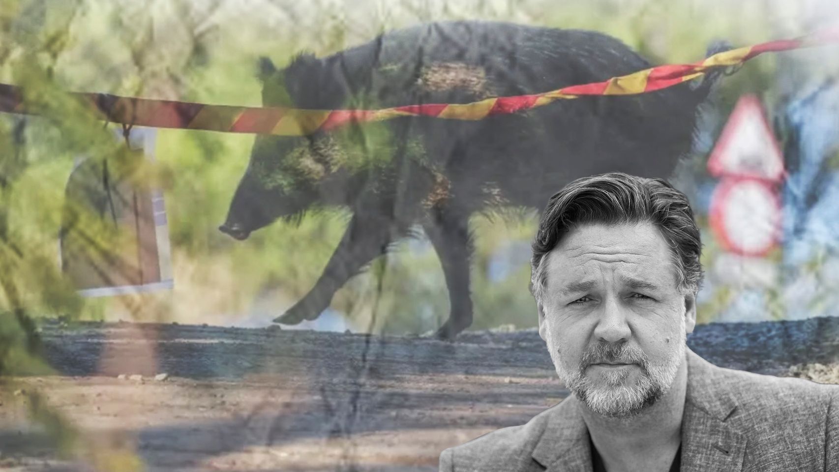 Montaje de Russell Crowe con un jabalí al fondo en una zona de riesgo por la peste porcina