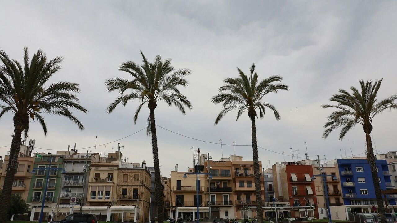Palmeras en el barrio marinero del Serrallo en Tarragona