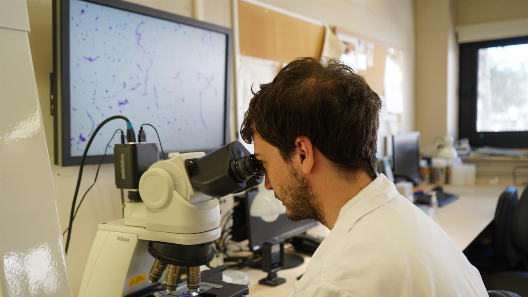 Laboratorio de Microbiología del Vall d'Hebron