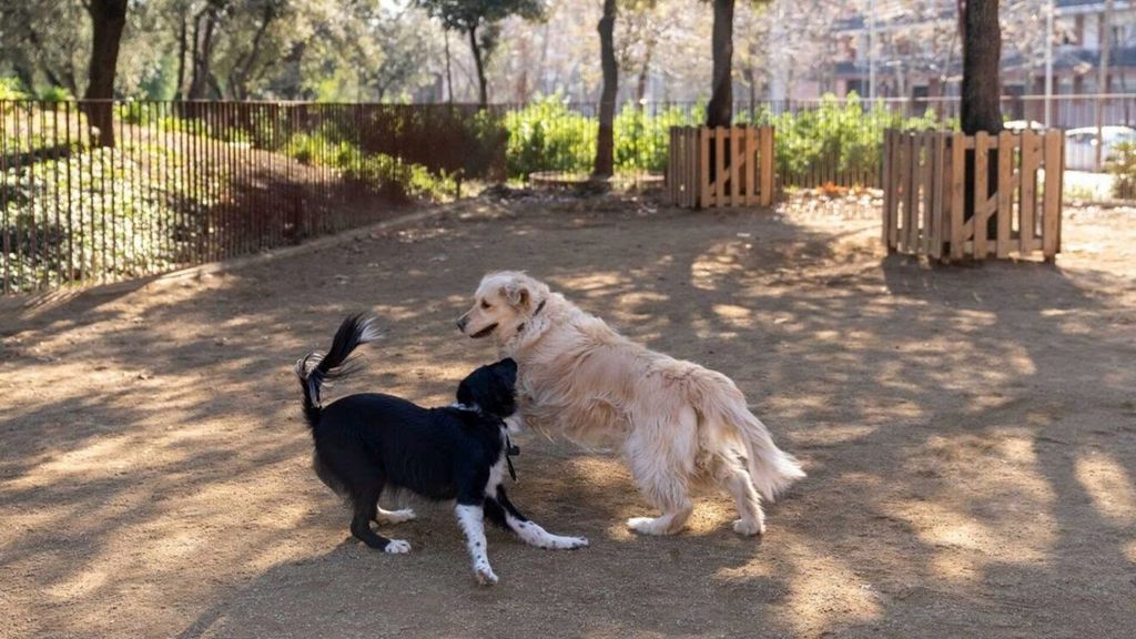 Un área para perros en Barcelona