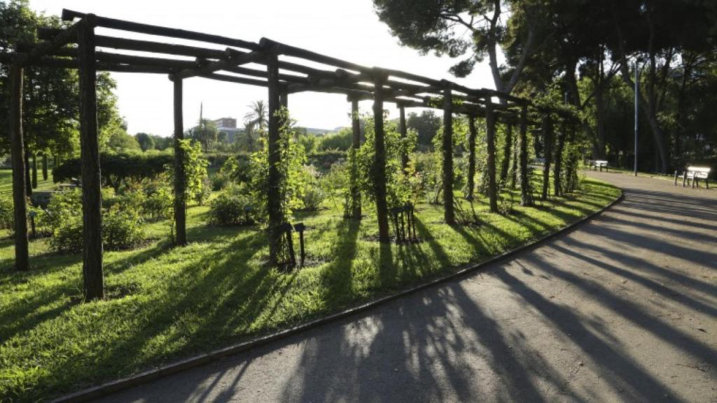 El Parque de Cervantes
