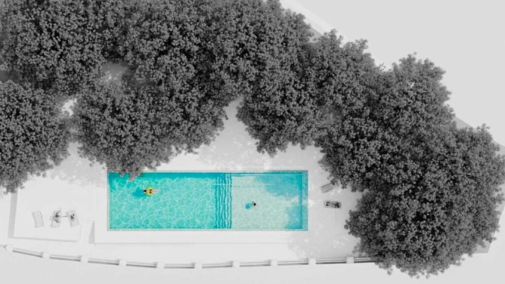 La nueva piscina tras la reforma