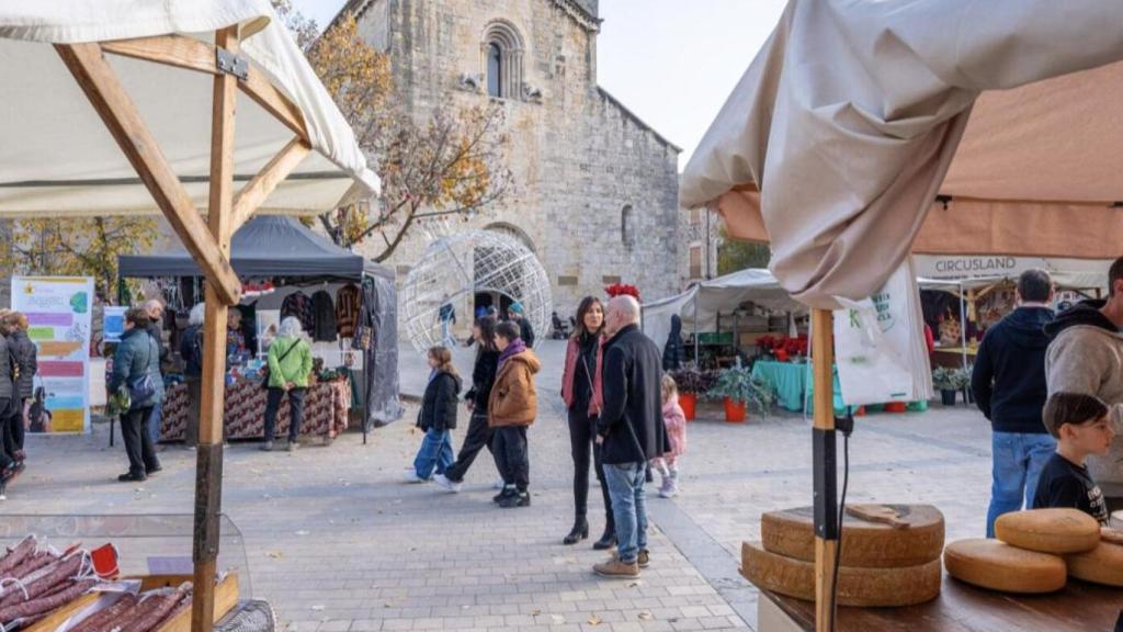 Imatge de Besalú