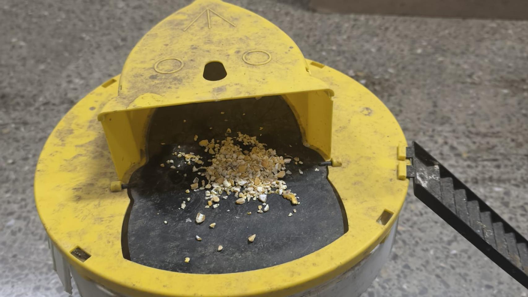 Una de las trampas caseras para ratas de la comisaría de la Policía Municipal de Terrassa