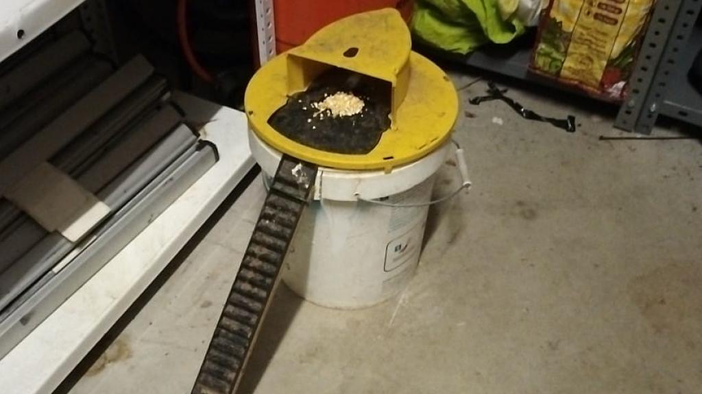 Trampas caseras para ratas en la comisaría de la Policía Municipal de Terrassa