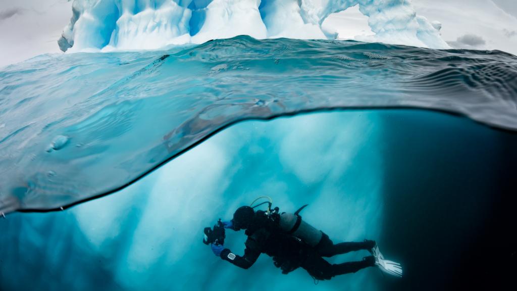 Exposició fotogràfica ‘Pristine Seas: Recuperar l’oceà’, creada per la National Geographic
